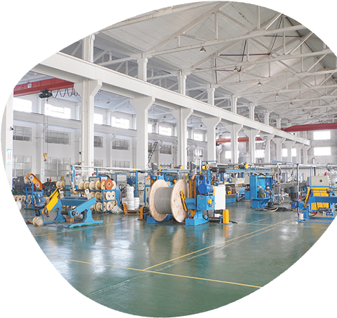 Jiangsu Junshuai Special Cable Technology Co., Ltd.